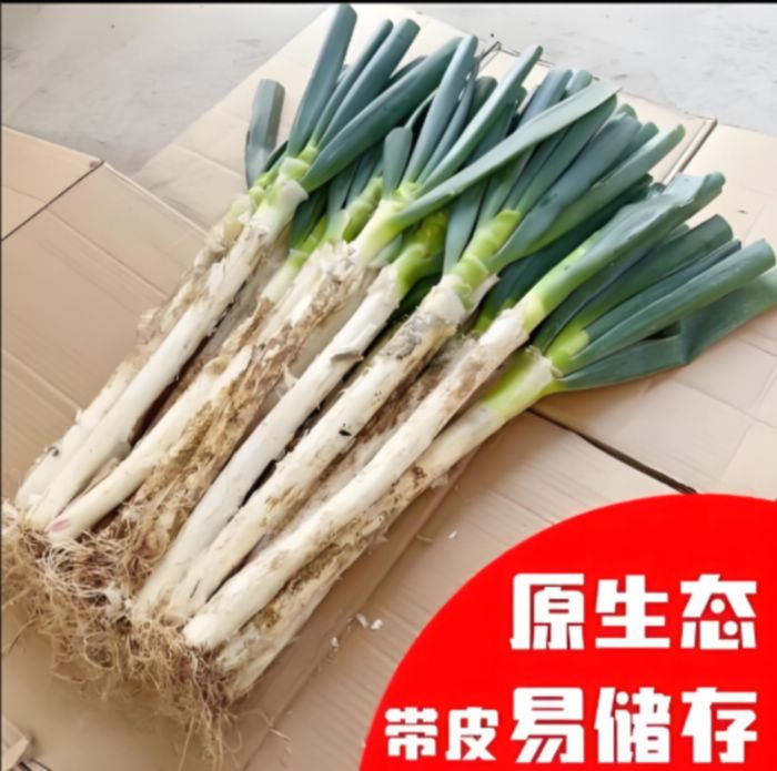 大葱甜脆辣多汁铁杆大葱带皮5.5--6斤以上试吃5根不满意全额退
