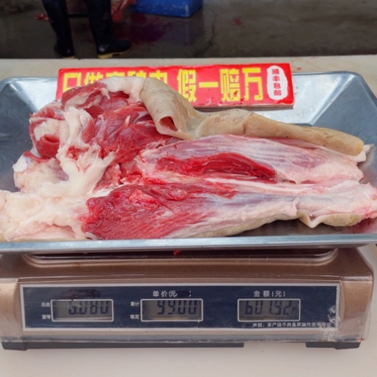 【闪购商品】冷冻保存30天包装河北省