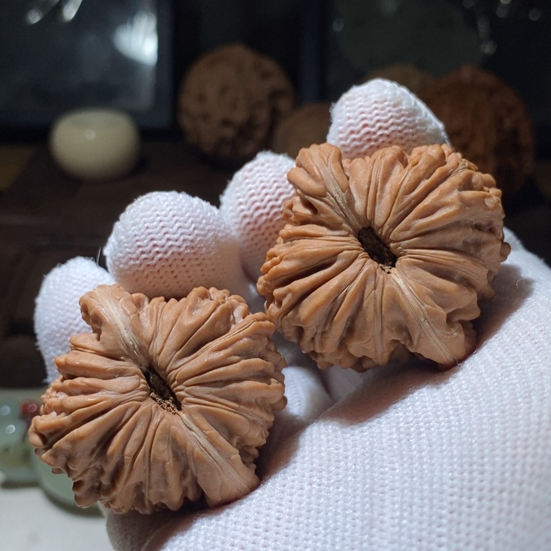 ****T文玩核桃吊坠楼子