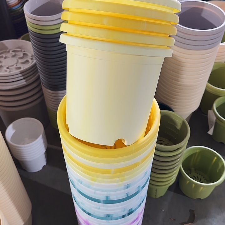 串色4#口径25浅黄色10个无托