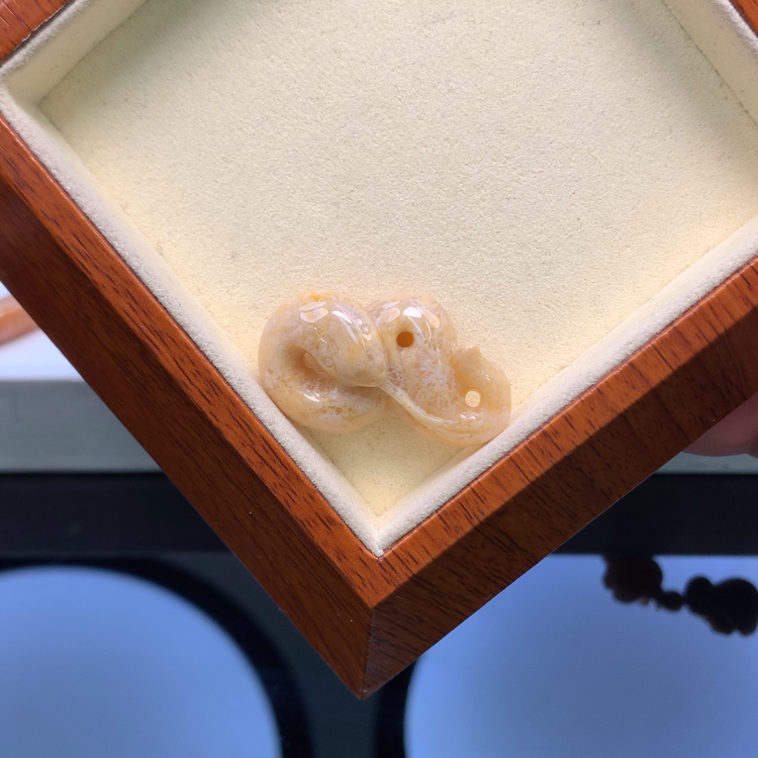 硅化珊瑚（珊瑚玉）颈饰未镶嵌