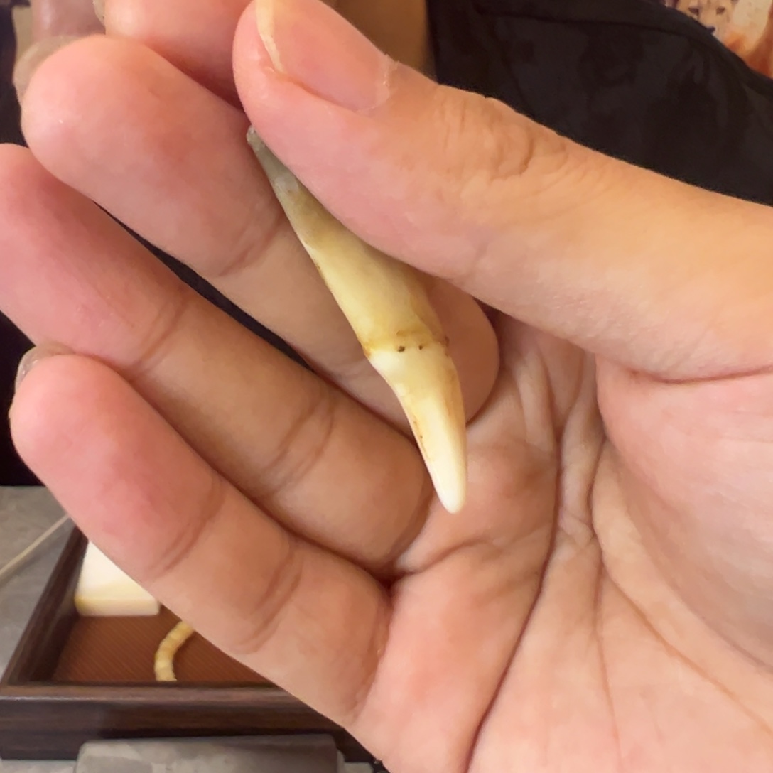 闪购通用链接..ly