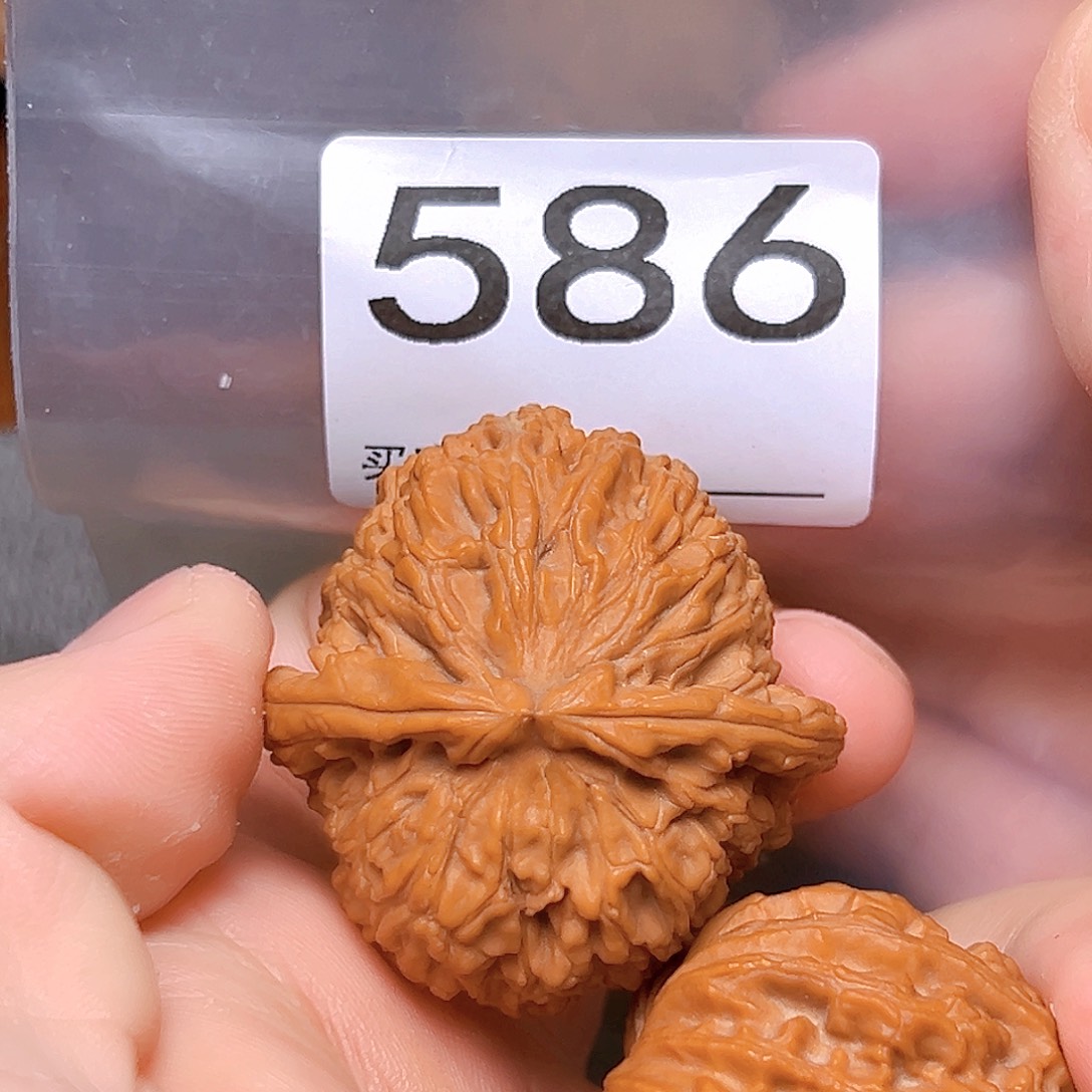 文玩核桃吊坠41➕白狮子