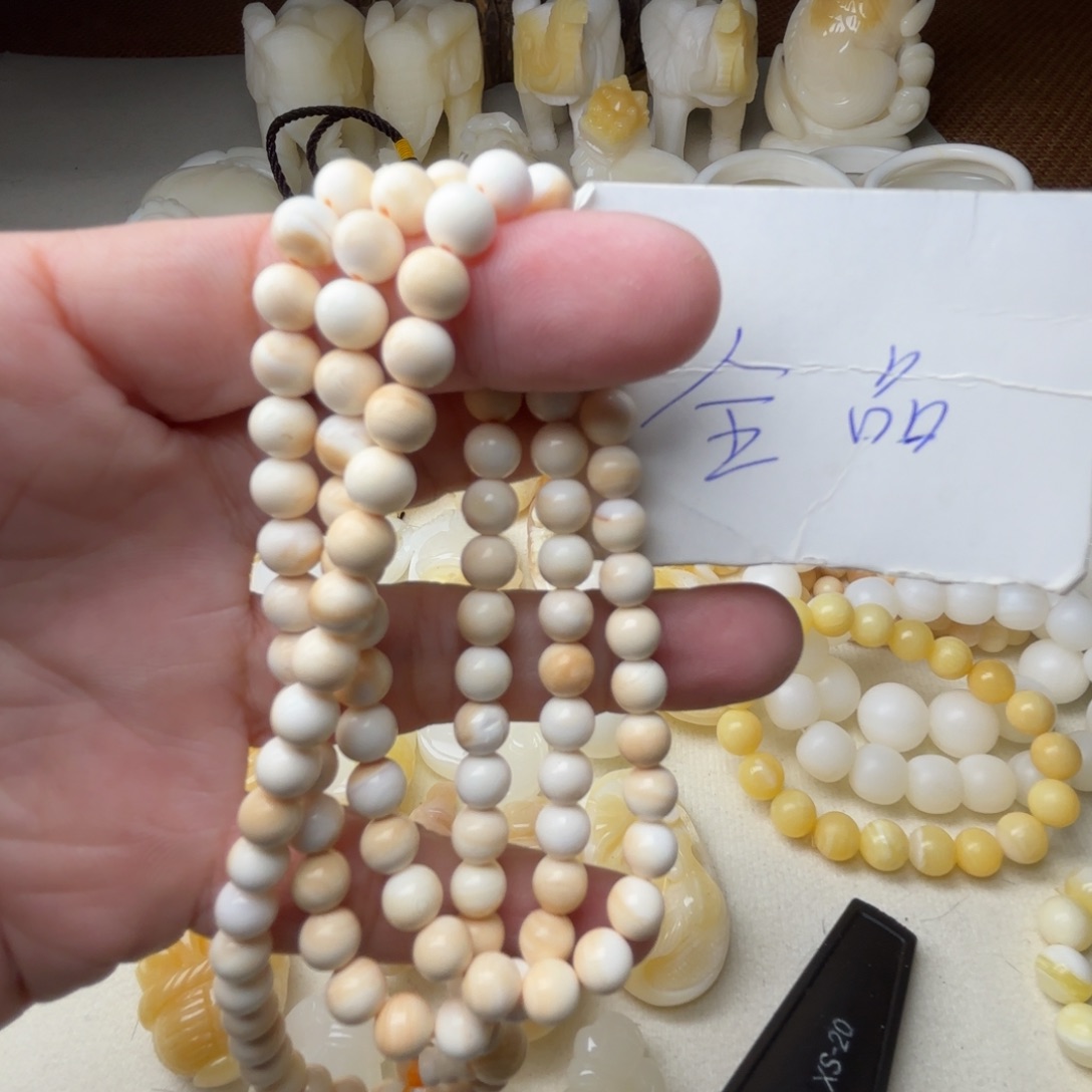 非金属贝壳卡6全品