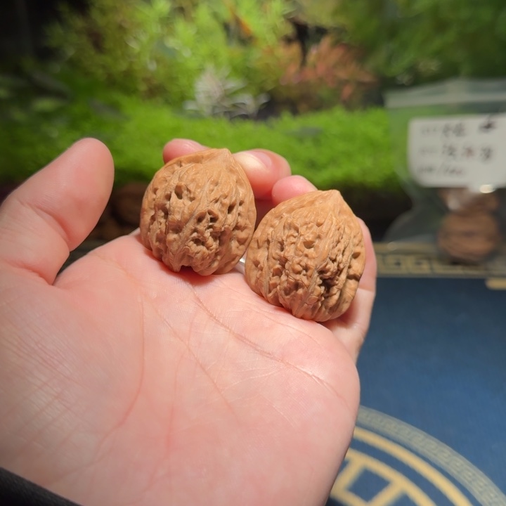 544号33赤龙鸡心文玩核桃