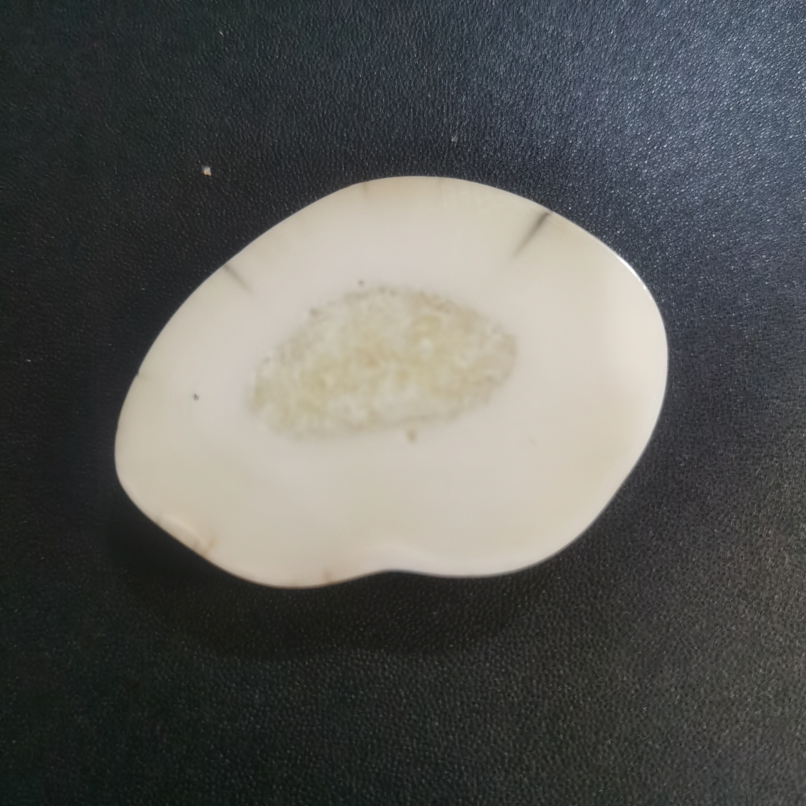 猛犸虬饼子kk892