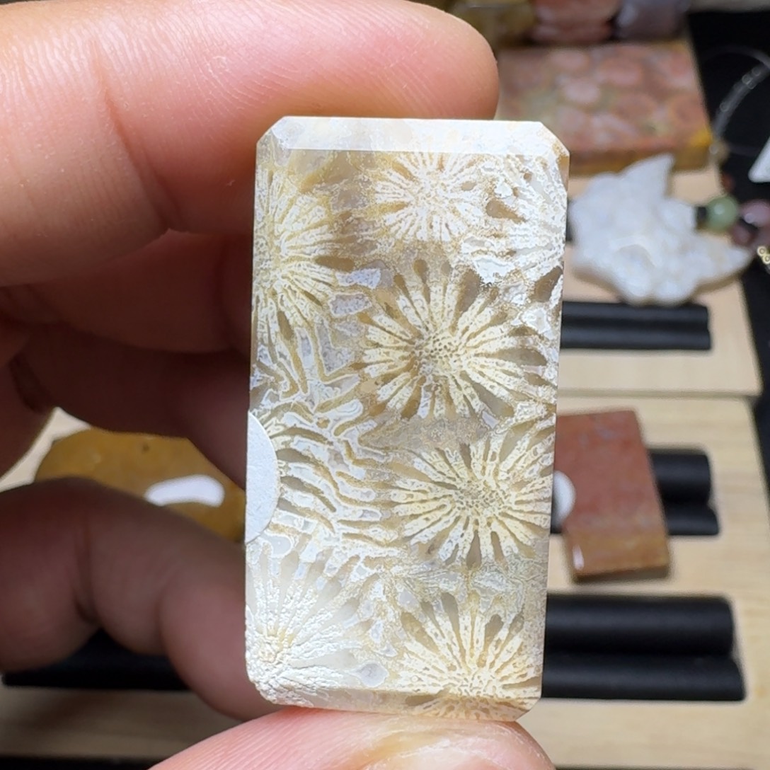 未镶嵌纯天然色有机玉石保真色硅化玉