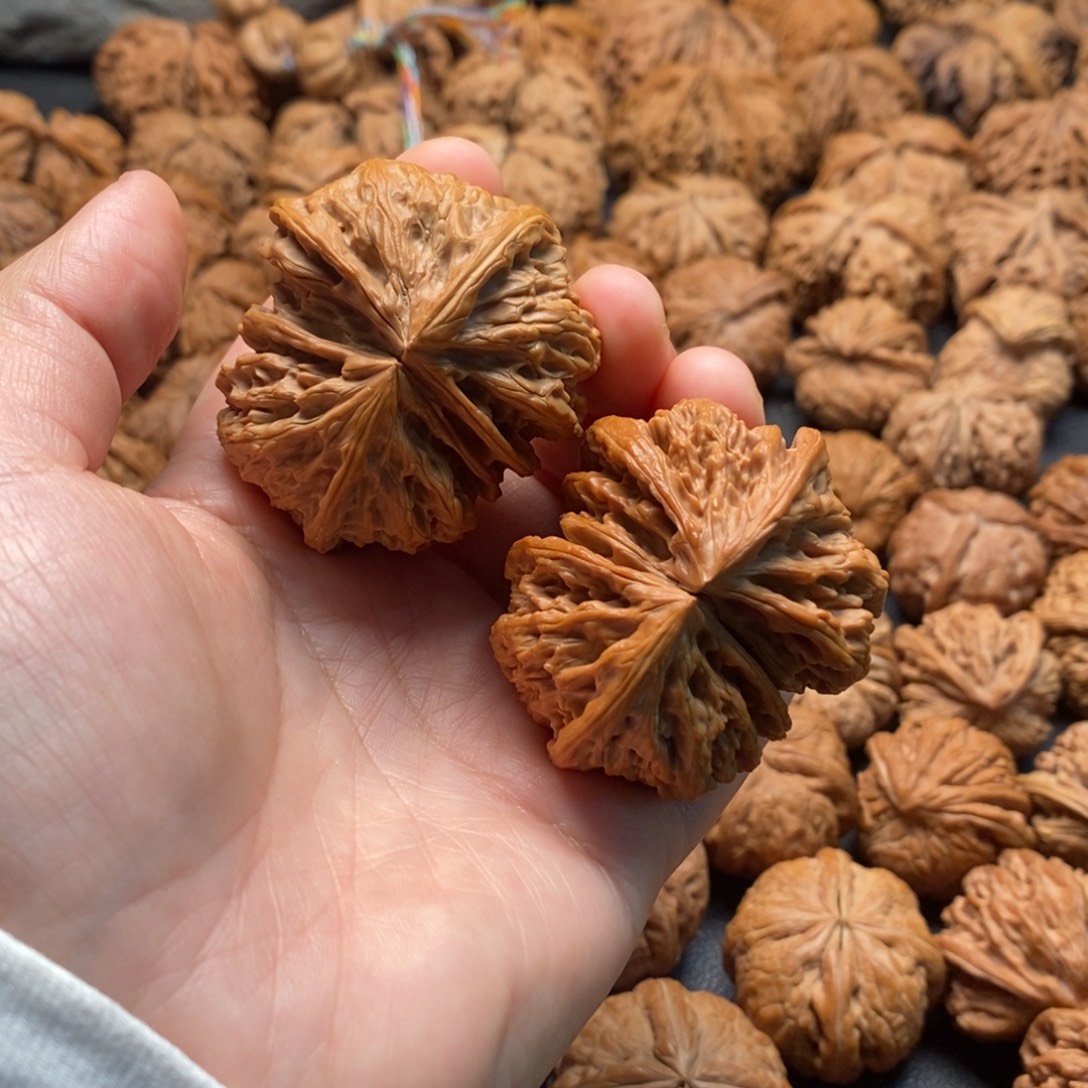 把件文玩核桃49野牛连体