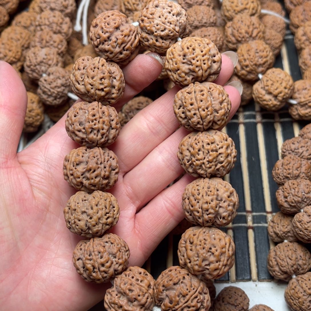 菩提尼泊尔大金刚梁梅花25