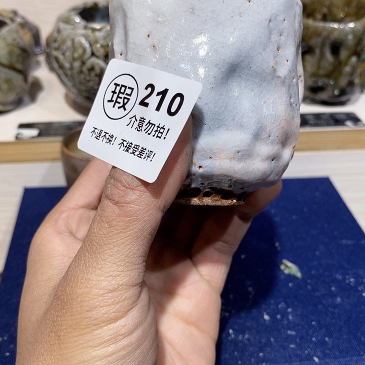 茶盏啦啦啦啦啦啦啦啦210