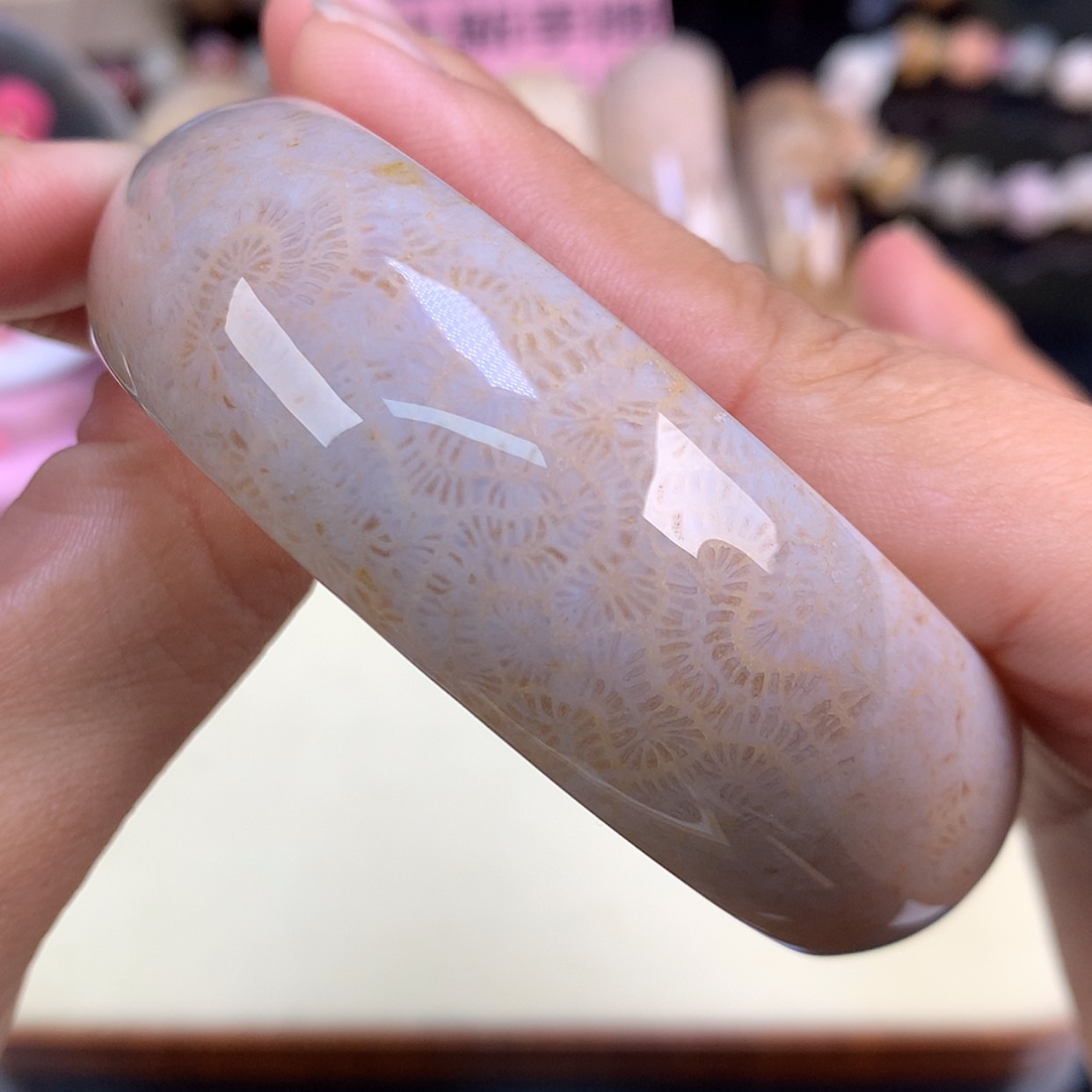 【闪购商品】颈饰未镶嵌硅化珊瑚（珊瑚玉）18号精美龙骨59.2圈