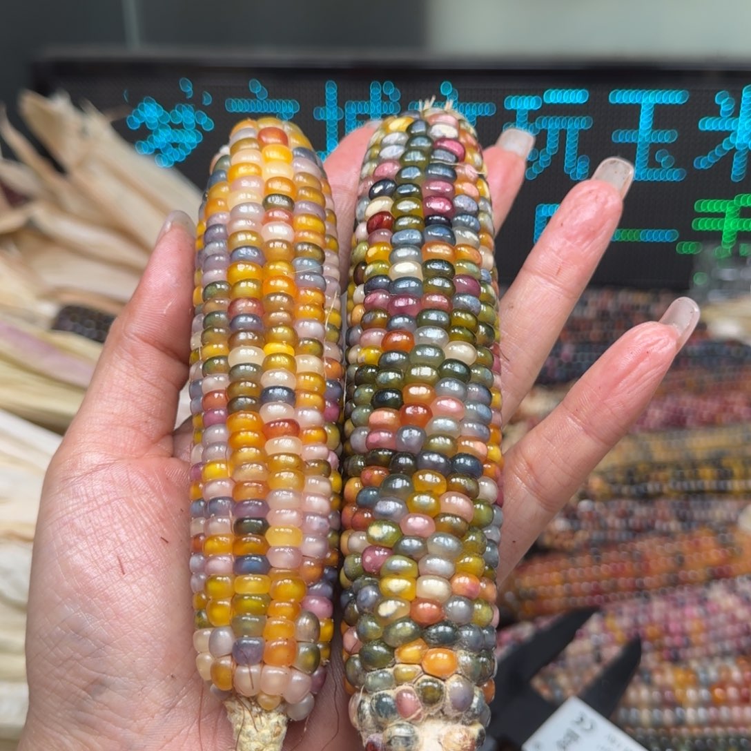 柏香籽/百香籽吊坠蓝*海