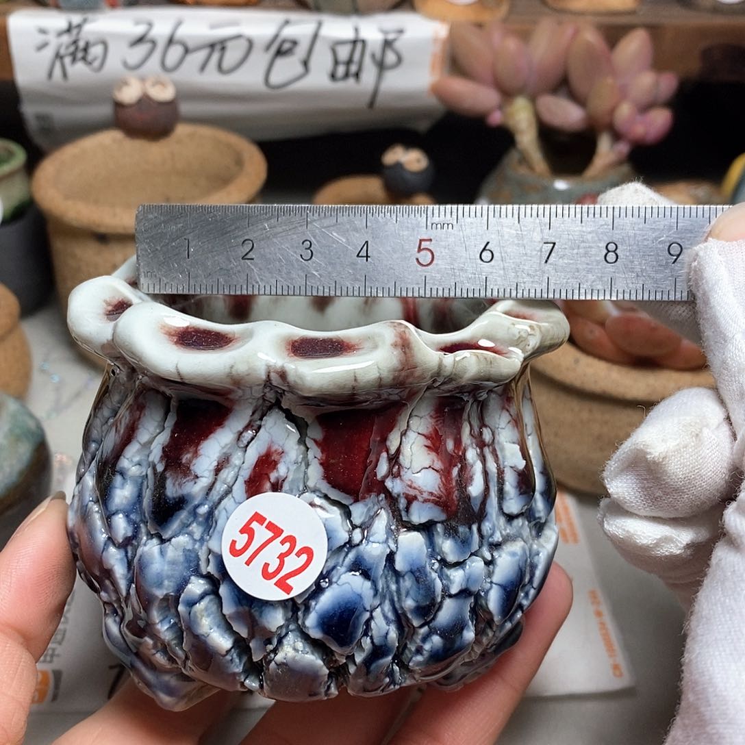 红陶拍5送一个小