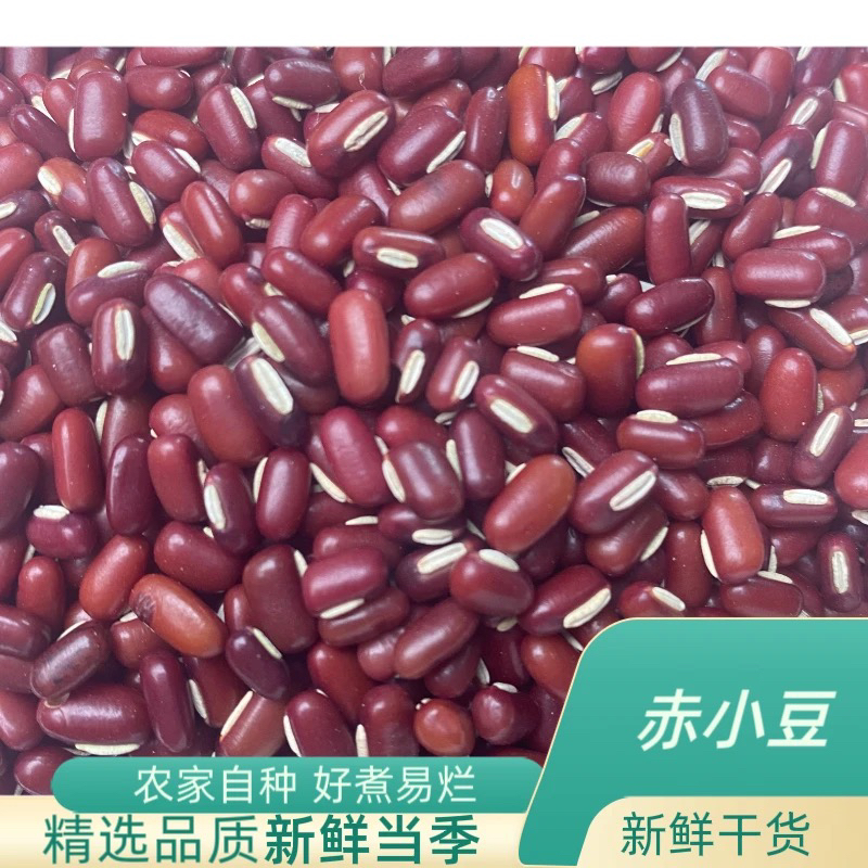 农家自种赤小豆新货当季易烂