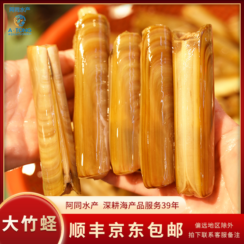 【阿同水产】大竹蛏子海鲜福州发货