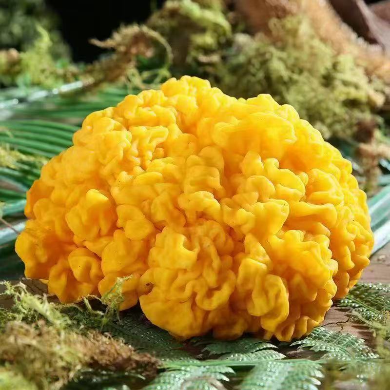 家居居家装饰摆件0000