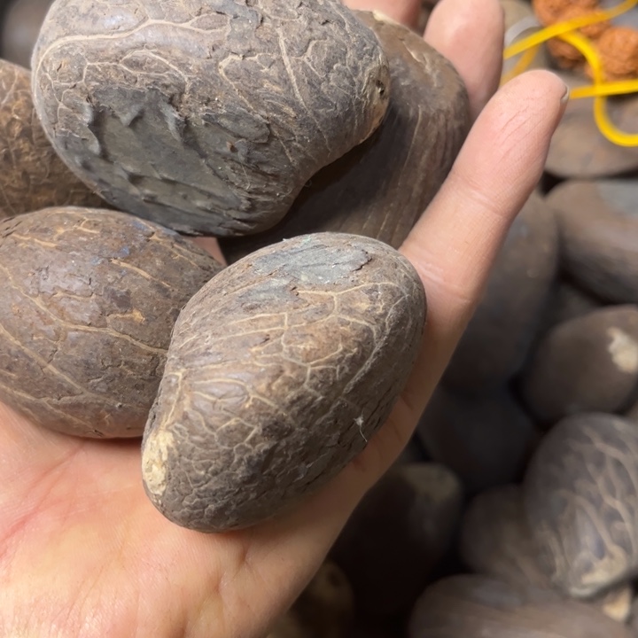 吊坠千眼菩提象牙果圆的三个91号