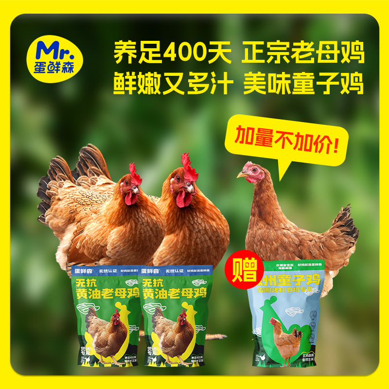 【活动专享】蛋鲜森无抗黄油老母鸡2只煲汤+净膛1.3斤左右童子鸡1只