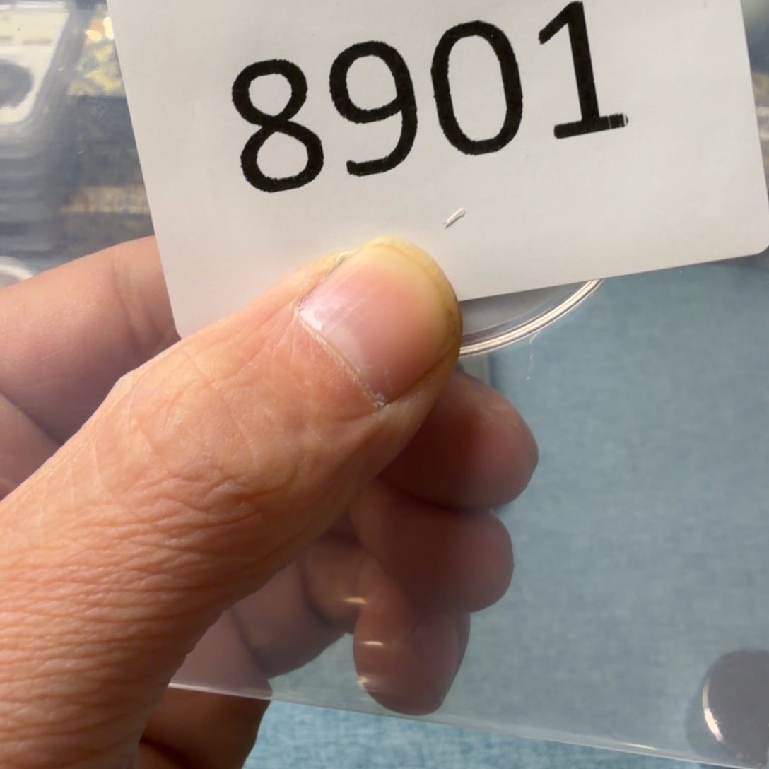 直播间秒拍秒付链接8901