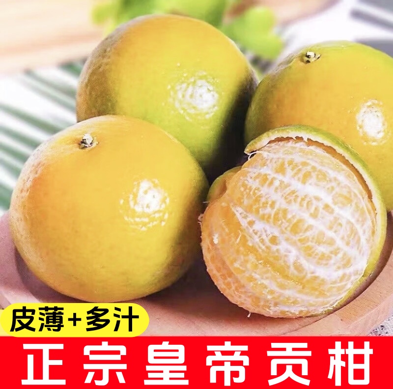 【果泉甄选】正宗皇帝贡柑盒装新鲜爆汁甜橙