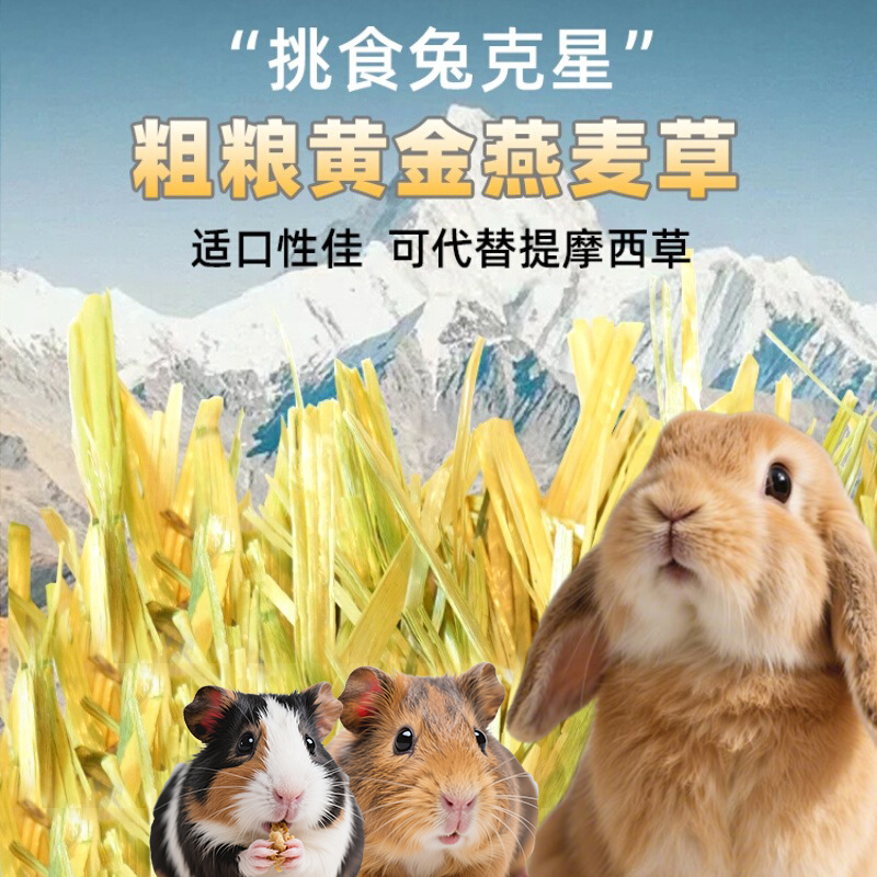 精筛普挑澳洲黄金燕麦草兔子草龙猫荷兰猪饲料草粮养兔子必备用品