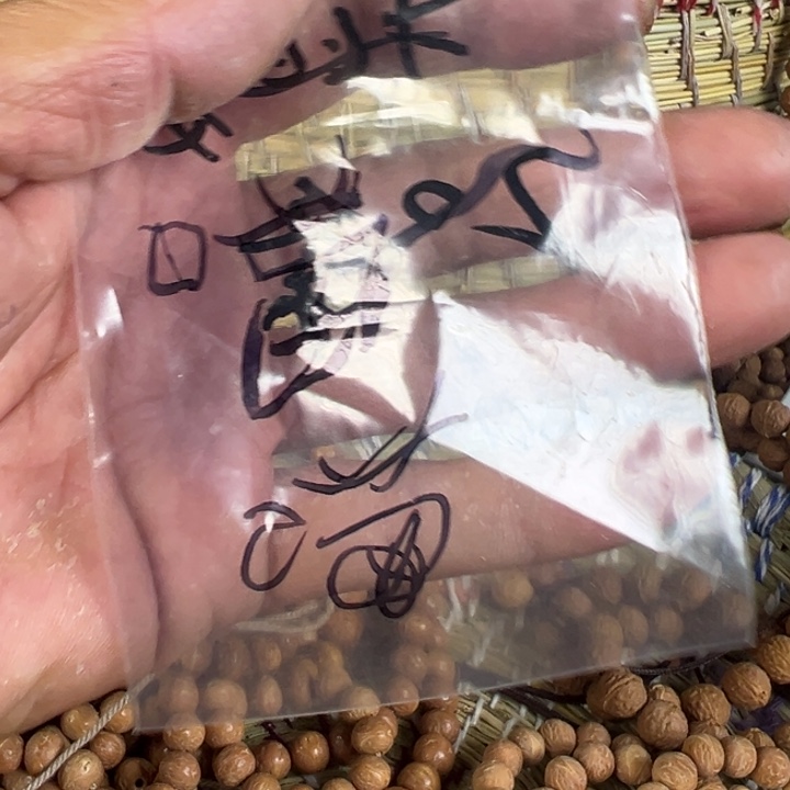 喵***~吊坠凤眼菩提文玩酸枣核