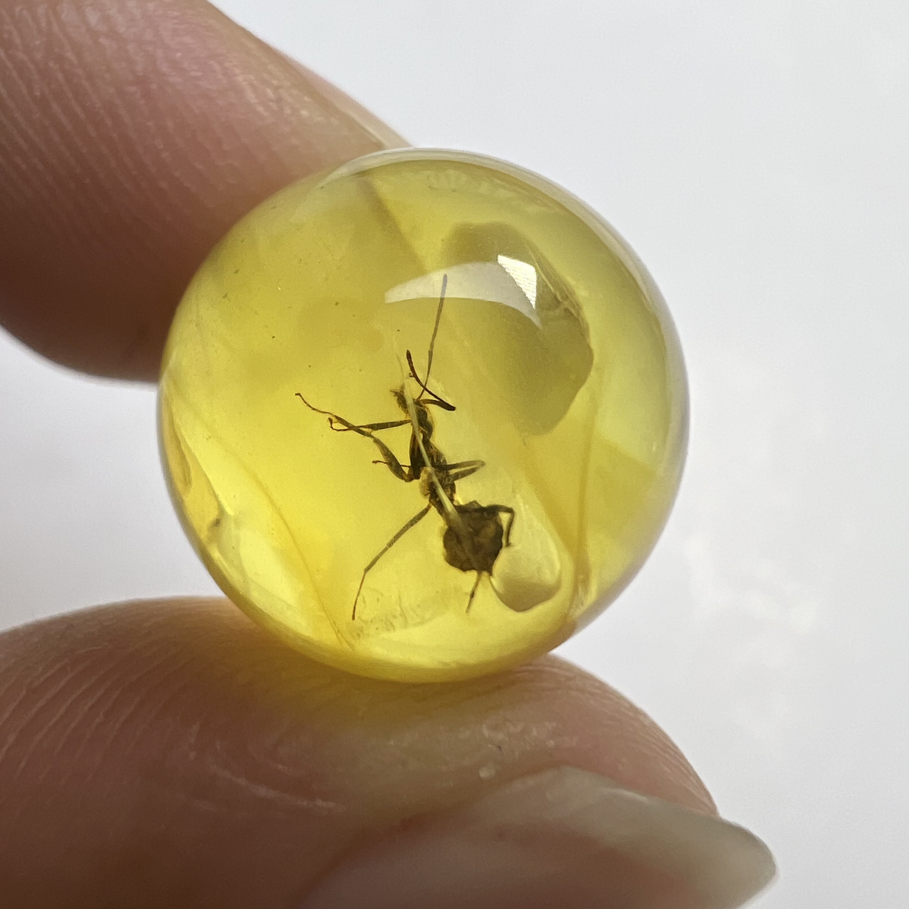 天然虫珀圆珠尺寸：14.6mm