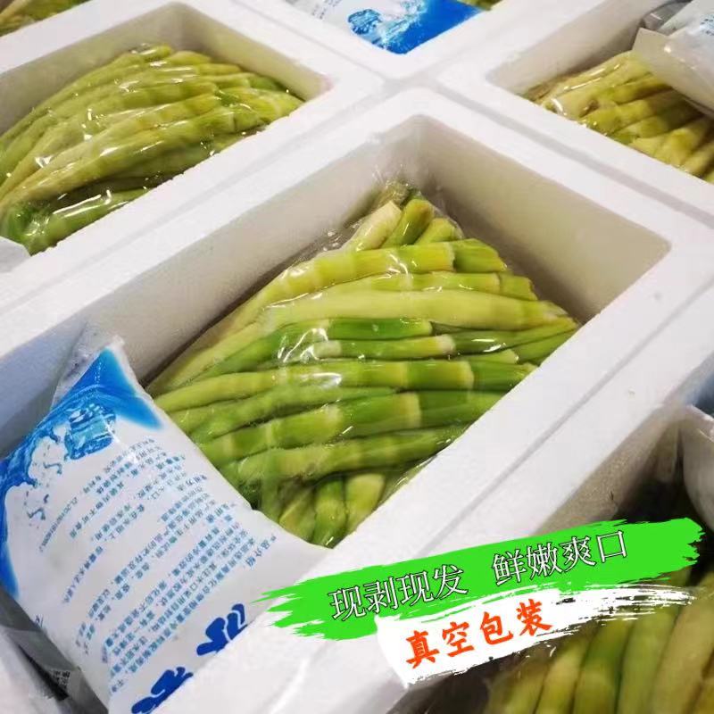 新鲜脆嫩小竹笋高山绿笋火锅食材炒菜美味小野笋