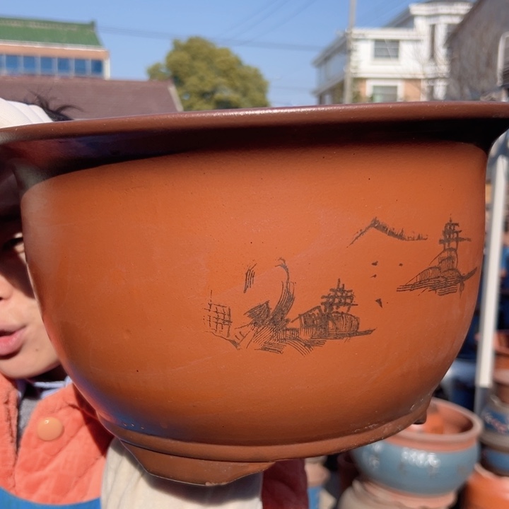 30紫气东来花盆花盆花盆