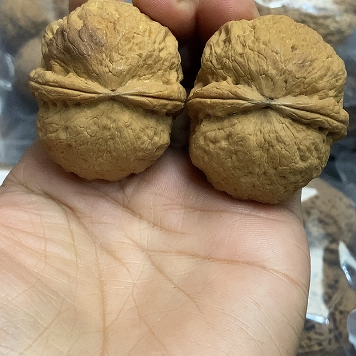 文玩核桃把件云南铁核桃基地5