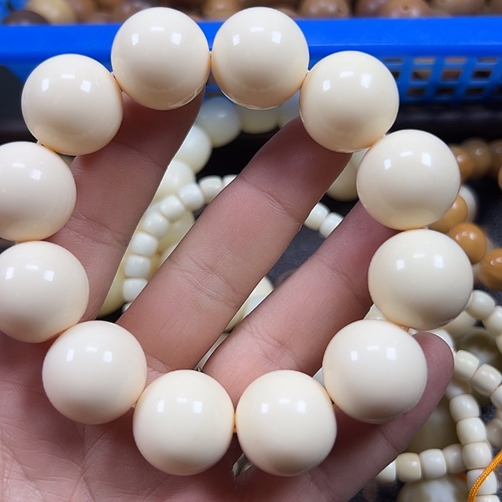 明****吊坠菩提根/象牙果