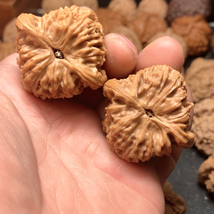 【闪购商品】候*南疆石