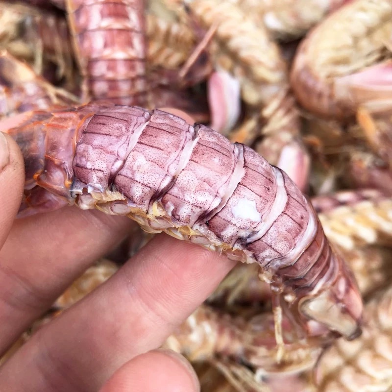 T（4斤）新鲜熟冻皮皮虾顺丰发货9-12cm/只只饱满鲜美