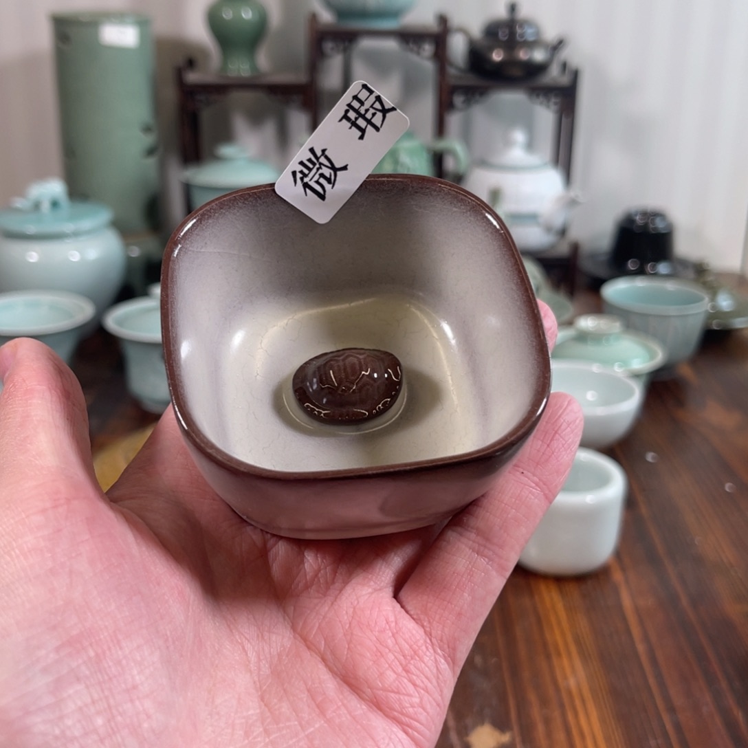 三宝茶器开播福利