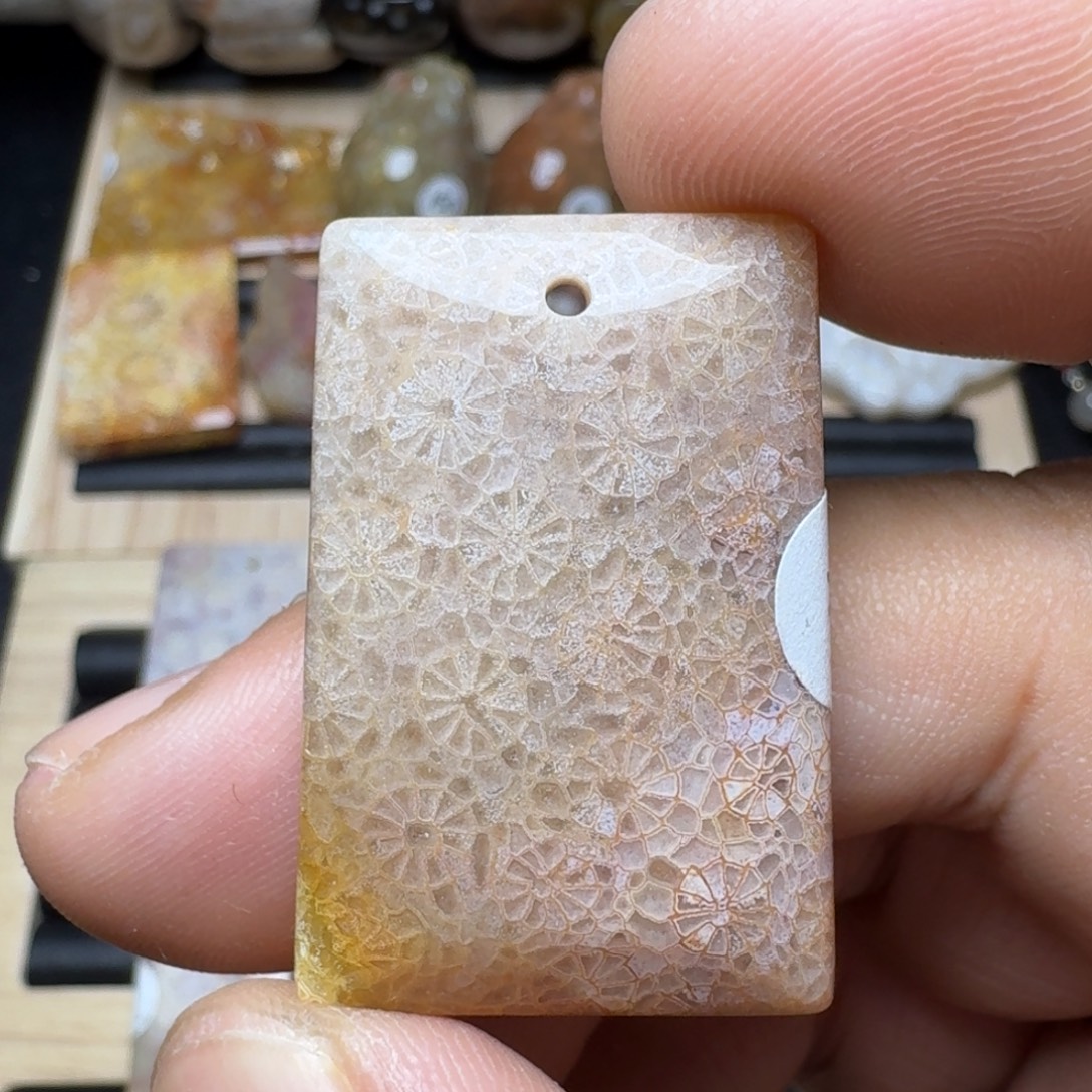 未镶嵌纯天然色有机玉石保真色硅化玉