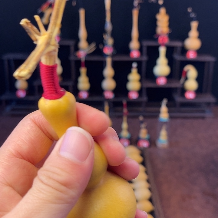 “***”葫芦鸡汤配牛排的我