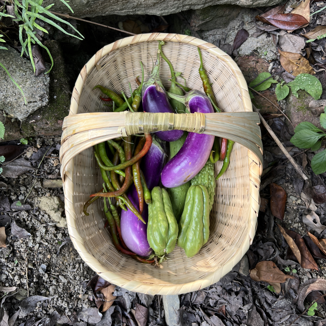 竹编手提篮鸡蛋篮装菜篮卖菜篮采蘑菇水果篮加大淘麦篮收纳筐