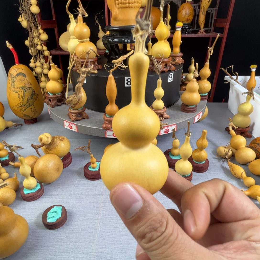 C***r藤木我的小可爱，一点也不像个女孩