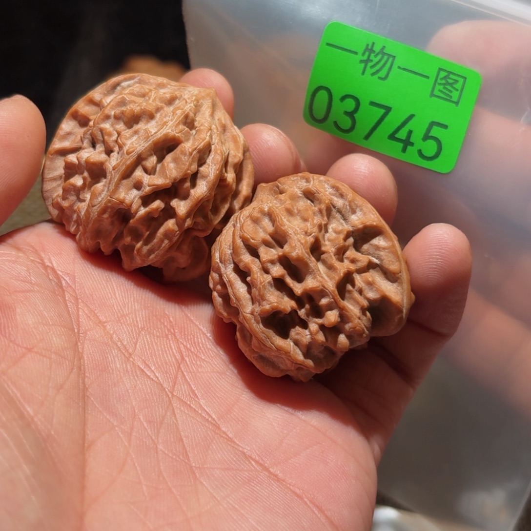 文玩核桃把件红珊瑚