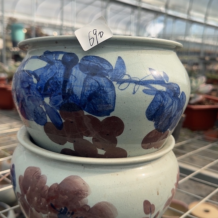 白*蔻690花盆手侩不退不换