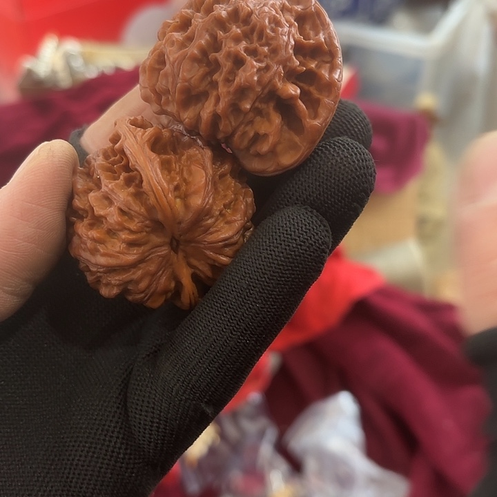 山***水杂色豆（科檀/科特迪瓦檀木）