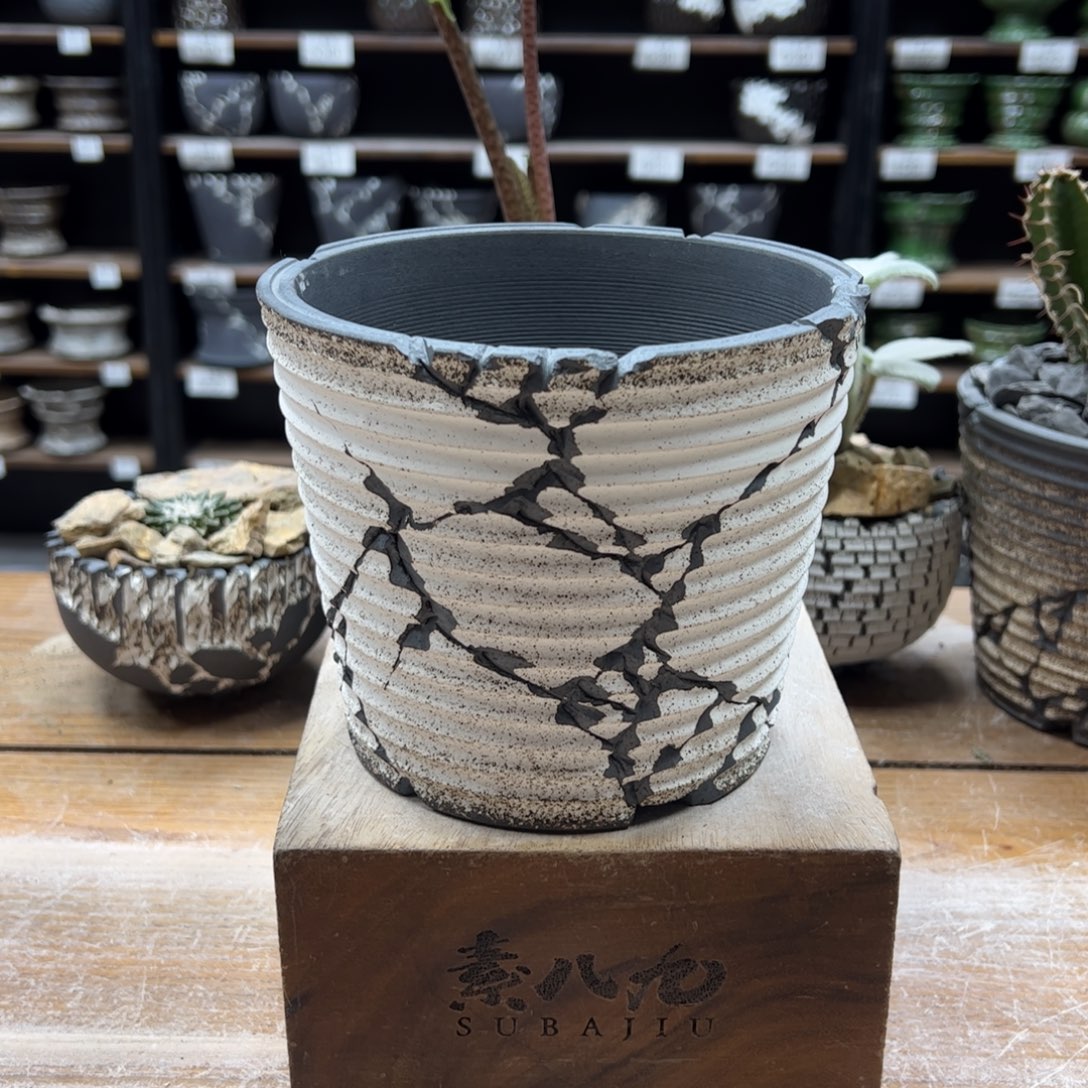 素八九陶瓷内口13高12.5