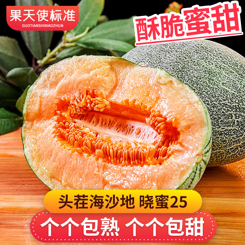加保温 【果天使标准】头茬海南哈密瓜3.5-4斤一藤一瓜脆甜多汁