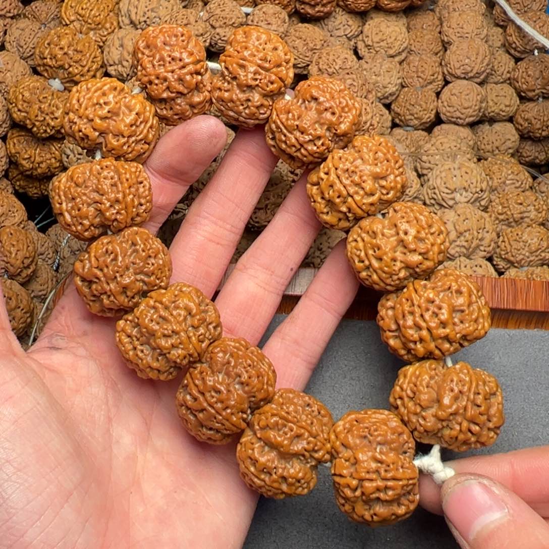 菩提13号尼泊尔大金刚28深沟梅花