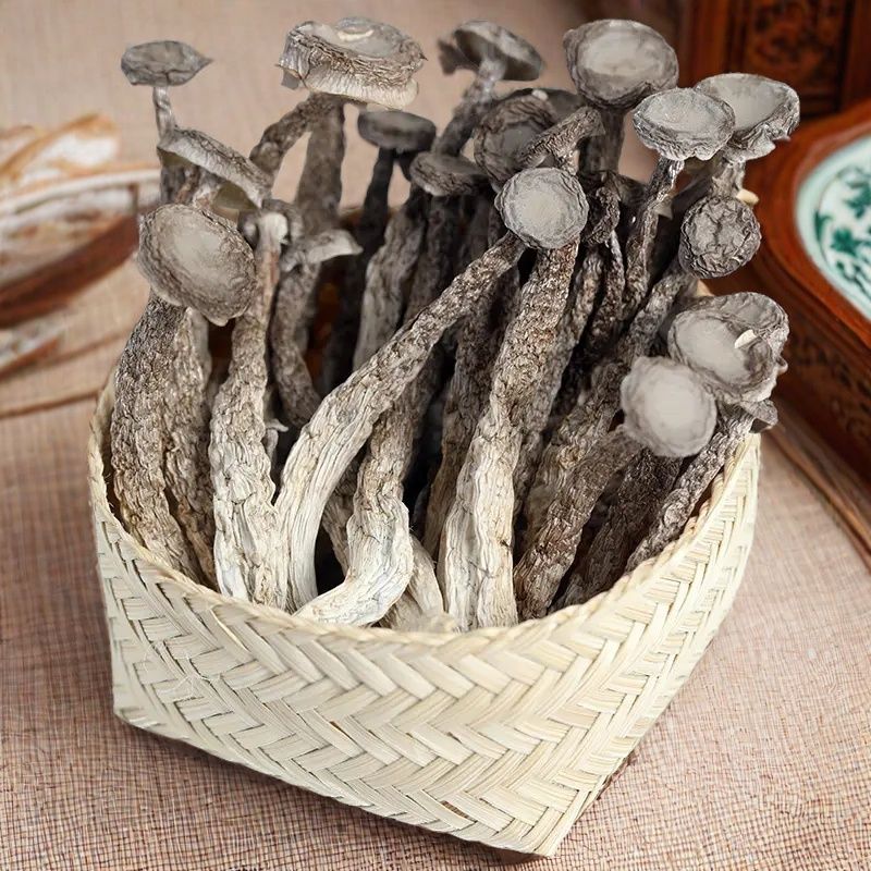 鹿茸菇新货煲汤炒新鲜食材干货净重500g家庭实惠一斤装