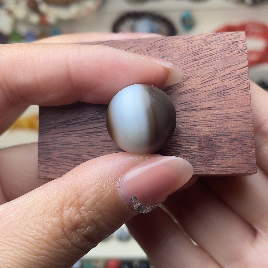 大叶紫檀（黑酸枝木类）