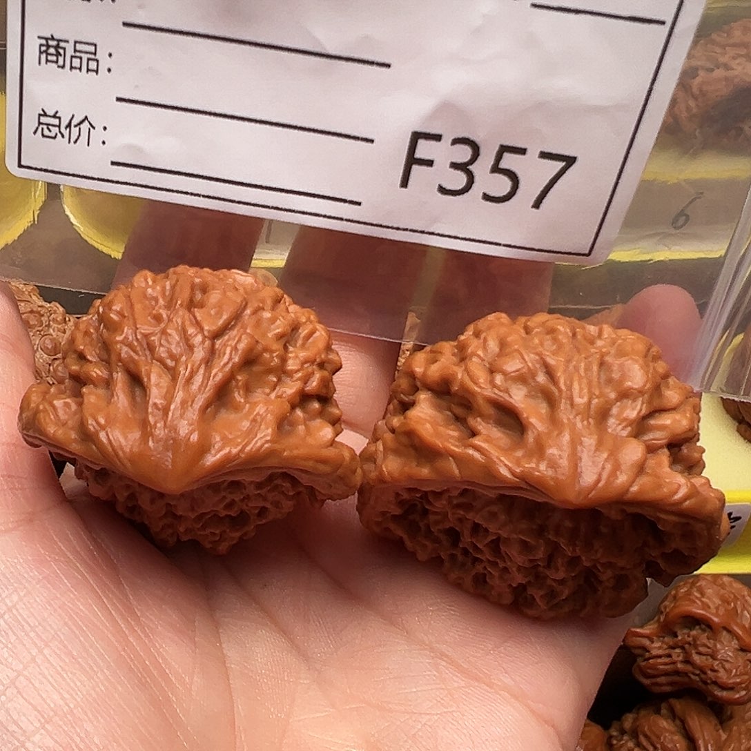 蛇王蛇王蛇王蛇王44