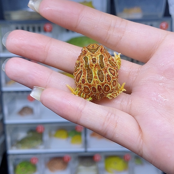 特价秒杀特价原价残