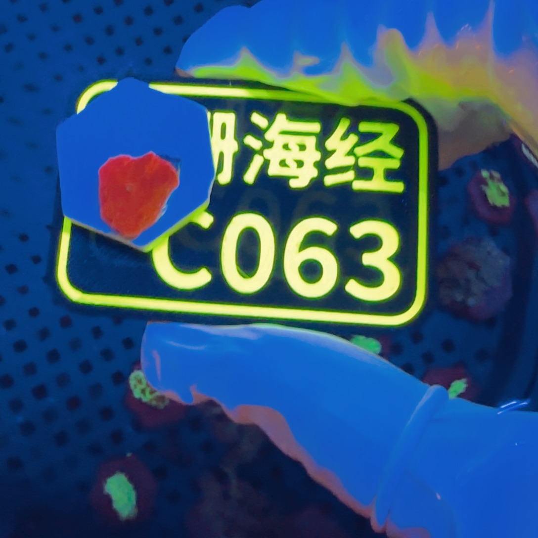 方***e纽扣珊瑚晓晓不包邮红菇C063