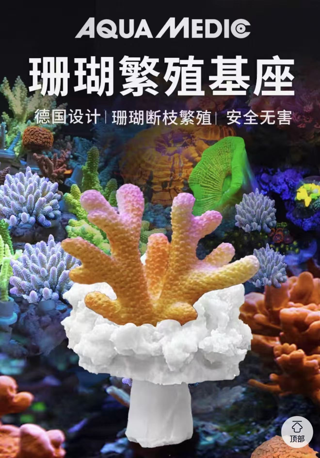 德国ab珊瑚繁殖基座